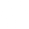 angiologia