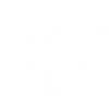 cardiologia